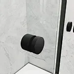 shower door